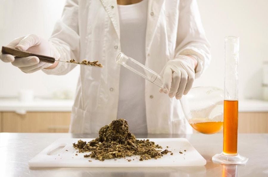 Woman in uniform skillfully blending herbs in a cylinder. Embrace the essence of Greek botanical excellence